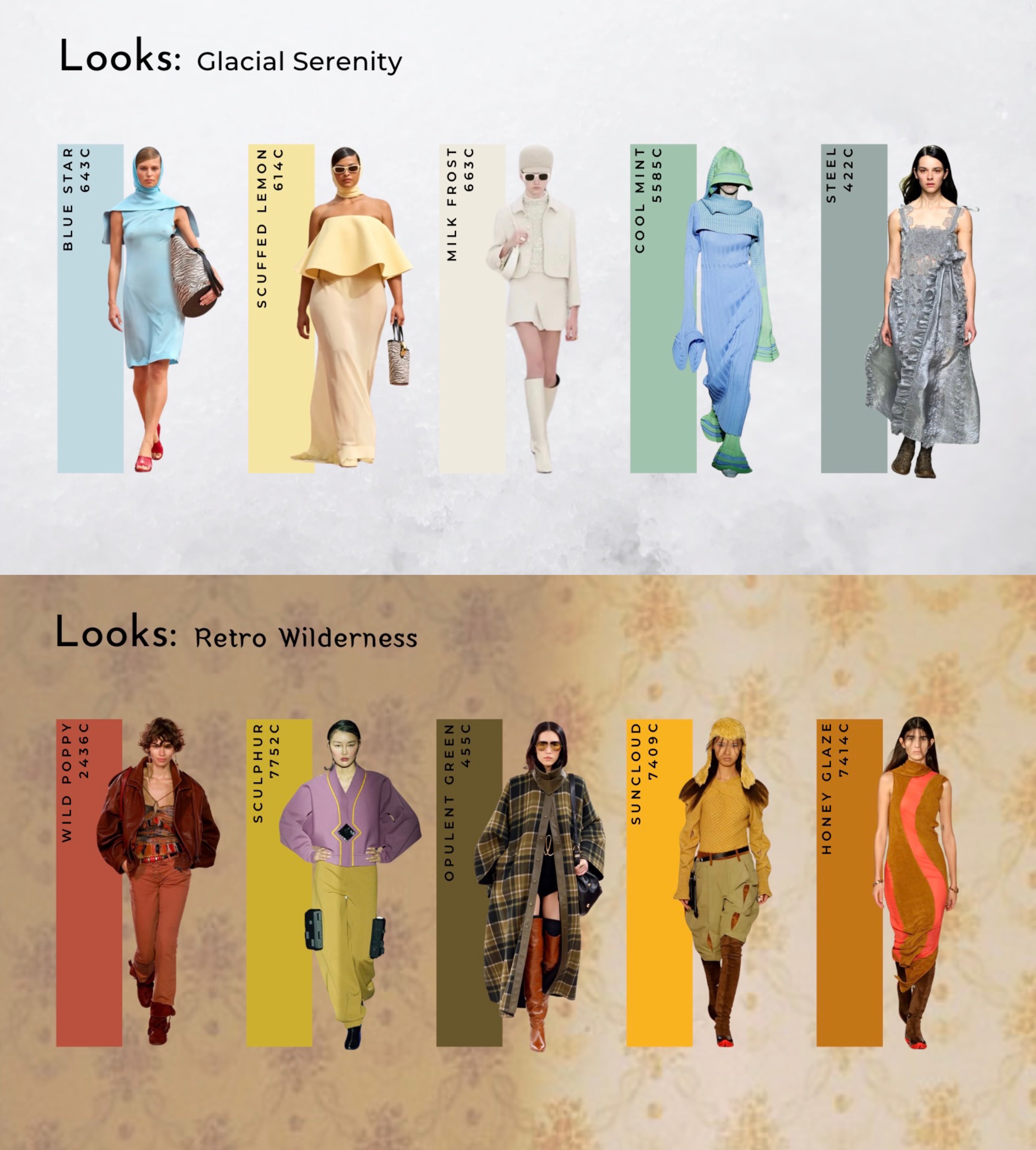 Color for Fall 25